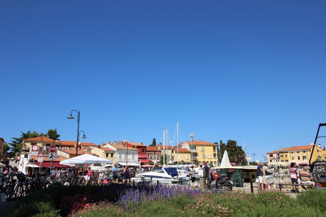 דירות Novigrad Istria Irena A2 מראה חיצוני תמונה